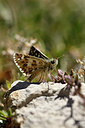 BUITEN BEELD Foto: 282416