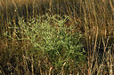 BUITEN BEELD Foto: 282422