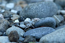 BUITEN BEELD Foto: 282423