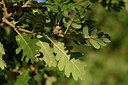 BUITEN BEELD Foto: 282426