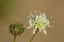 BUITEN BEELD Foto: 282430