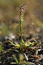 BUITEN BEELD Foto: 282434