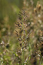 BUITEN BEELD Foto: 282458