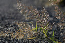 BUITEN BEELD Foto: 282460