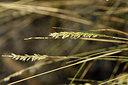 BUITEN BEELD Foto: 282464