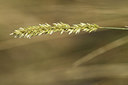 BUITEN BEELD Foto: 282466