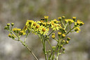 BUITEN BEELD Foto: 282476