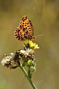 BUITEN BEELD Foto: 282481