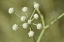 BUITEN BEELD Foto: 282482