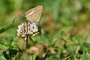 BUITEN BEELD Foto: 282495