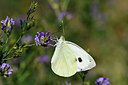 BUITEN BEELD Foto: 282499