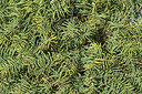 BUITEN BEELD Foto: 282502