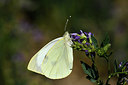 BUITEN BEELD Foto: 282503