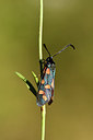 BUITEN BEELD Foto: 282511
