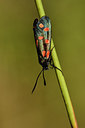 BUITEN BEELD Foto: 282513