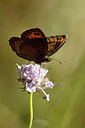 BUITEN BEELD Foto: 282523