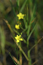 BUITEN BEELD Foto: 282548