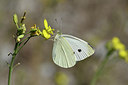 BUITEN BEELD Foto: 282551
