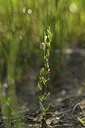 BUITEN BEELD Foto: 282574