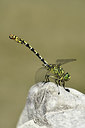 BUITEN BEELD Foto: 282575
