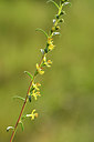 BUITEN BEELD Foto: 282576