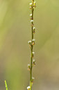 BUITEN BEELD Foto: 282581