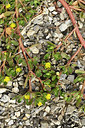 BUITEN BEELD Foto: 282600