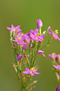 BUITEN BEELD Foto: 282637