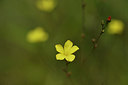 BUITEN BEELD Foto: 282641