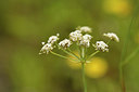 BUITEN BEELD Foto: 282647