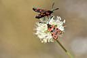 BUITEN BEELD Foto: 282652
