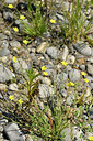 BUITEN BEELD Foto: 282664