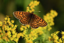 BUITEN BEELD Foto: 282681