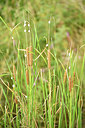 BUITEN BEELD Foto: 282696