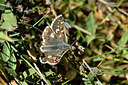 BUITEN BEELD Foto: 282705