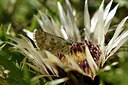 BUITEN BEELD Foto: 282707