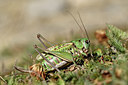 BUITEN BEELD Foto: 282709