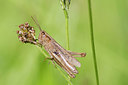 BUITEN BEELD Foto: 282726