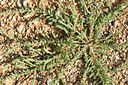 BUITEN BEELD Foto: 282743