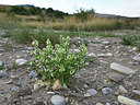 BUITEN BEELD Foto: 282751