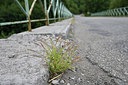 BUITEN BEELD Foto: 282755
