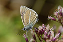 BUITEN BEELD Foto: 282756