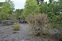 BUITEN BEELD Foto: 282757
