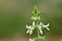 BUITEN BEELD Foto: 282765