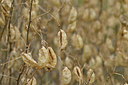BUITEN BEELD Foto: 282779