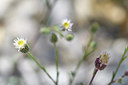 BUITEN BEELD Foto: 282795