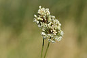 BUITEN BEELD Foto: 282801