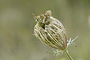 BUITEN BEELD Foto: 282804