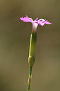 BUITEN BEELD Foto: 282805
