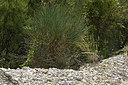 BUITEN BEELD Foto: 282807